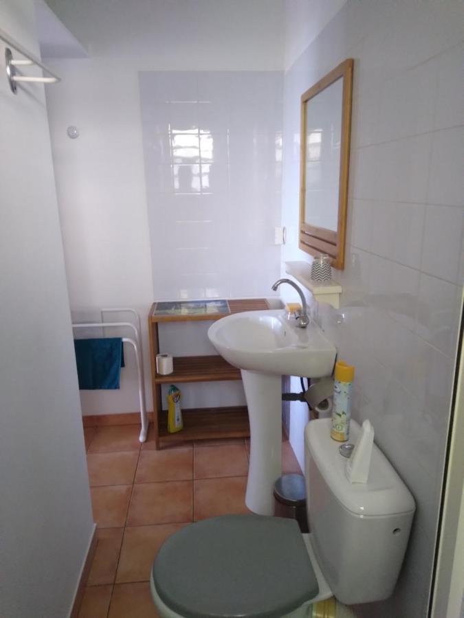 Studio Aux Avirons Pour 2 Personnes, Avec Piscine Les Avirons ภายนอก รูปภาพ